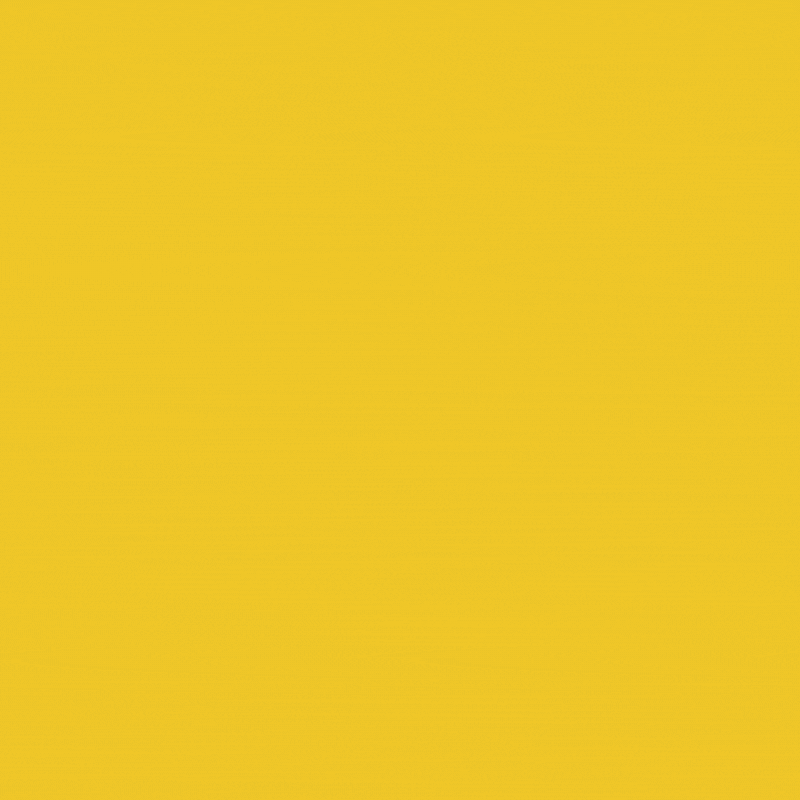 RipMoar Logo